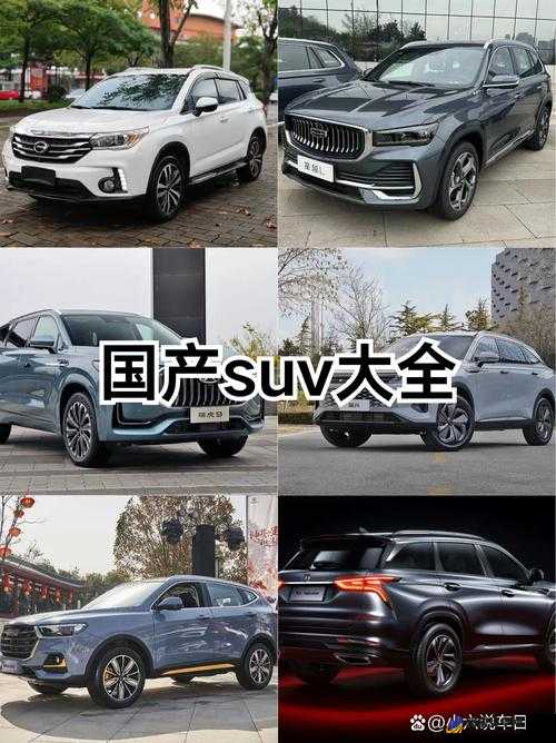 国产 SUV 精品一区二国产 SUV 引领 SUV 市场新潮流